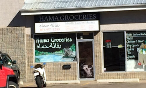 cCiidnIAvwOAlnXiDtpVH